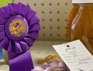 Grand Champion honey at the Fillmore County Fair. (All photos by Renee Bergstrom)