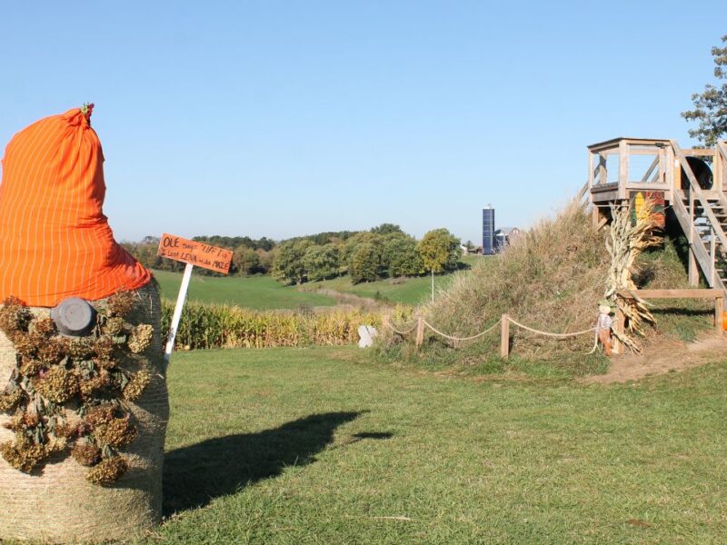 A haybale is transformed into a gnome with pinecone bear and orange hat.