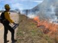 A low fire burns in vegetation in a ditch along a highway while a worker with fire gear and a drip torch looks on.