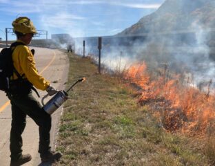 A low fire burns in vegetation in a ditch along a highway while a worker with fire gear and a drip torch looks on.