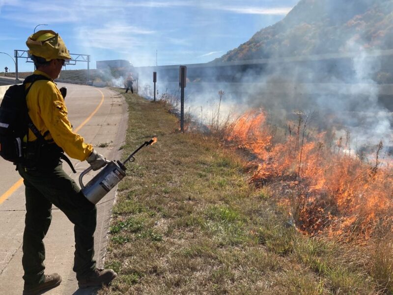 A low fire burns in vegetation in a ditch along a highway while a worker with fire gear and a drip torch looks on.