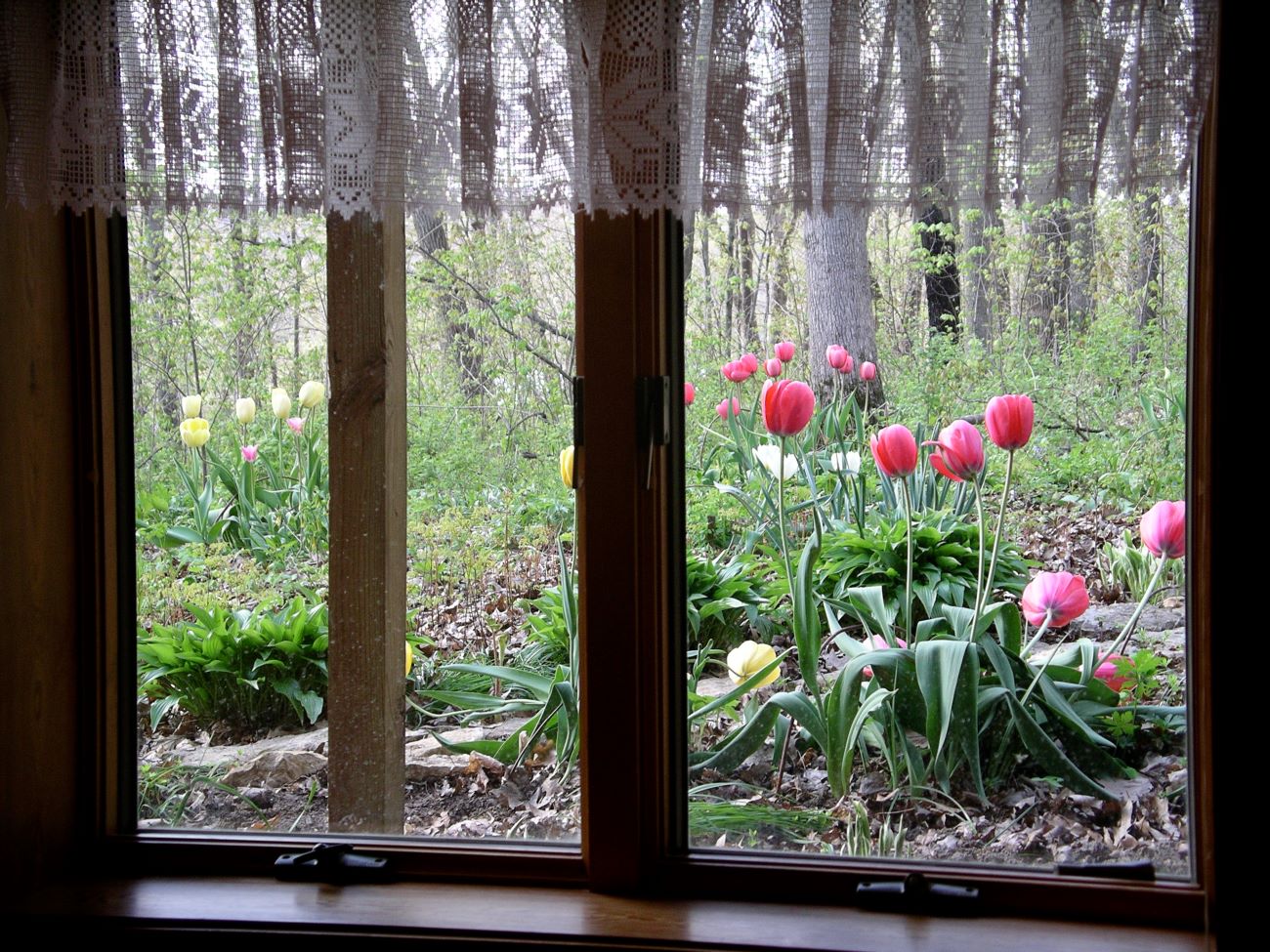 Spring blooms emerge, creating a colorful view from inside.