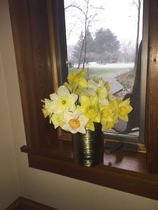 A bouquet of freshly picked daffodils graces the windowsill on a rainy spring day.