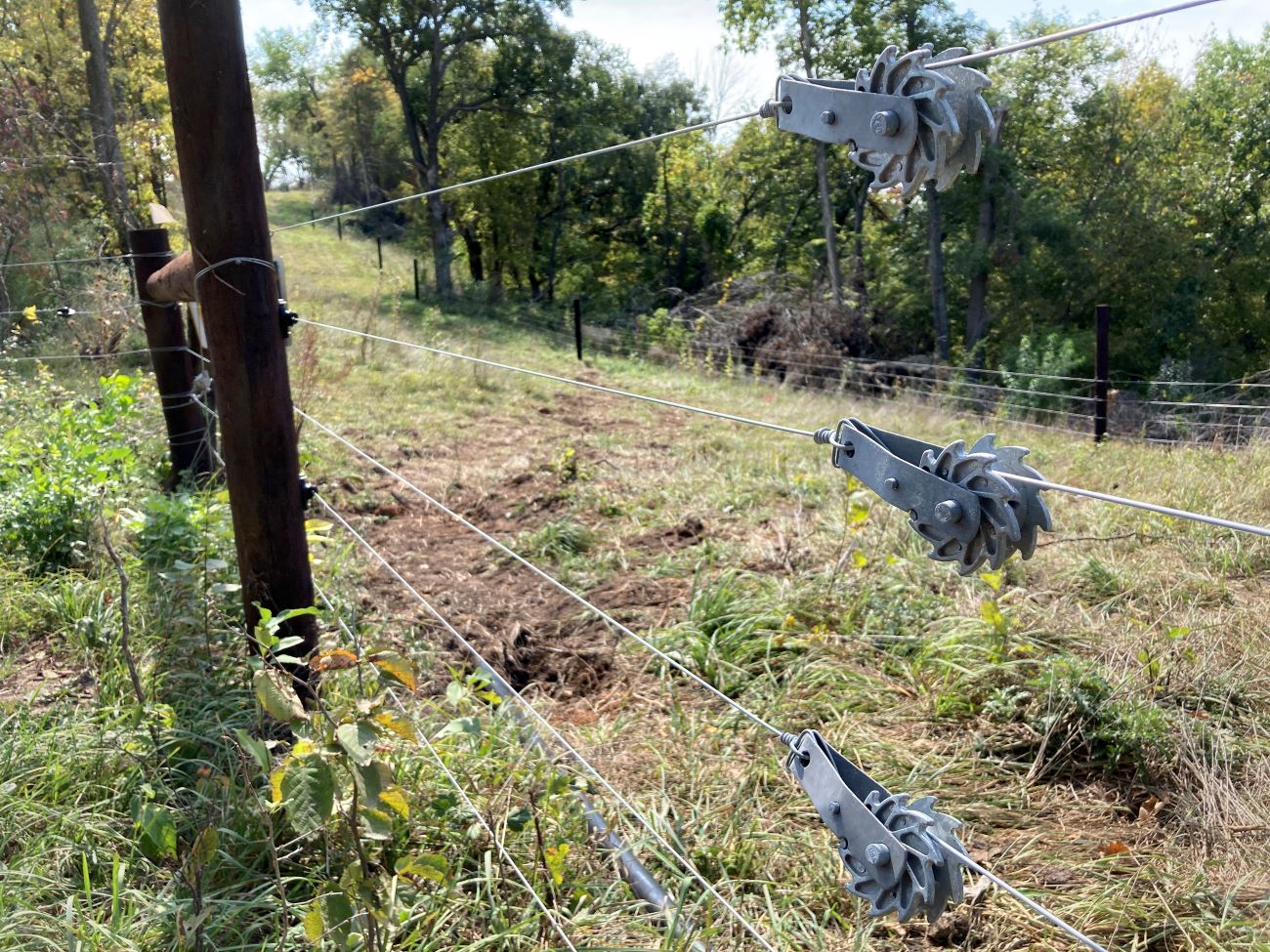 The rotational grazing plan for this Fillmore County site required nearly 3 miles of high-tensile fencing to enclose the pasture and divide the paddocks.