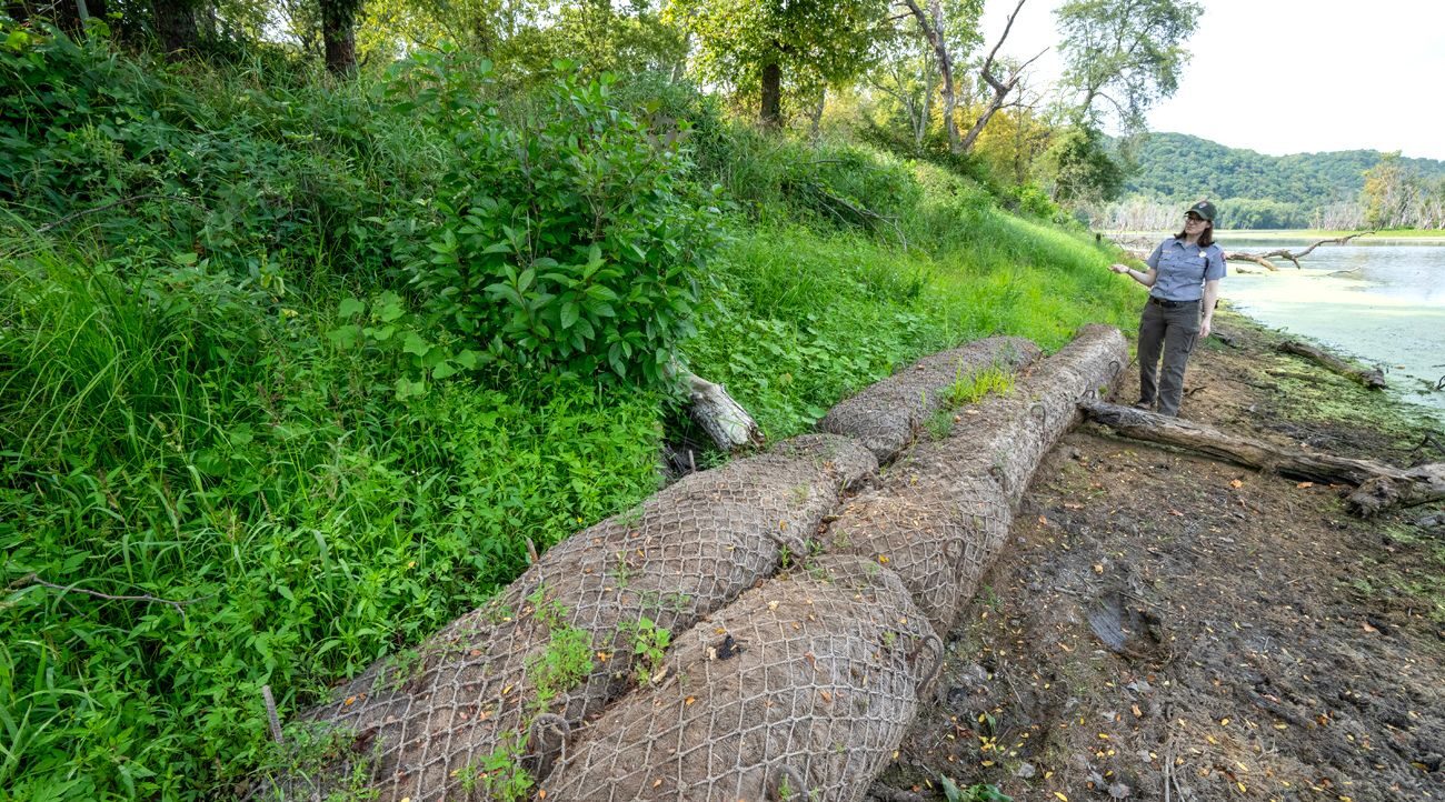 A woman in a department of natural resources uniform stands on a river bank by long tubes made of natural fibers placed on the muddy bank.