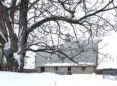 A barn in the distance covered in snow. In the foreground is a large tree with snow covered branches.