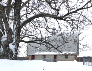 A barn in the distance covered in snow. In the foreground is a large tree with snow covered branches.