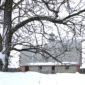 A barn in the distance covered in snow. In the foreground is a large tree with snow covered branches.