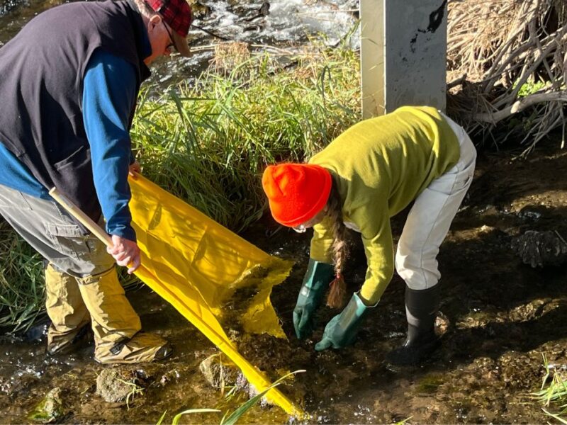 Two people dressed in jackets, hats, and rubber boots stand in shallow water and scoop debris from the bottom of the stream onto a yellow tarp.