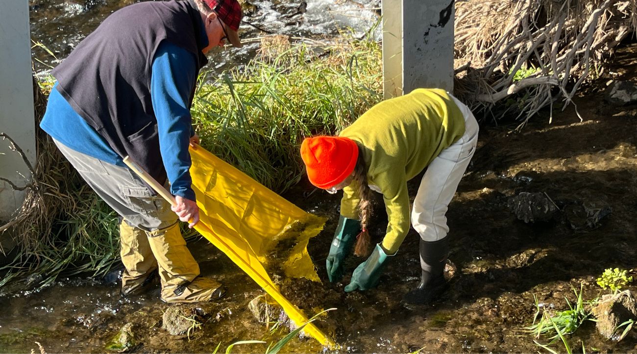 Two people dressed in jackets, hats, and rubber boots stand in shallow water and scoop debris from the bottom of the stream onto a yellow tarp.