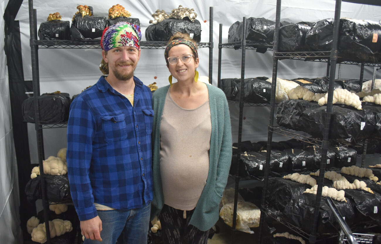 Couple stands in front of racks filled with growing mushrooms.