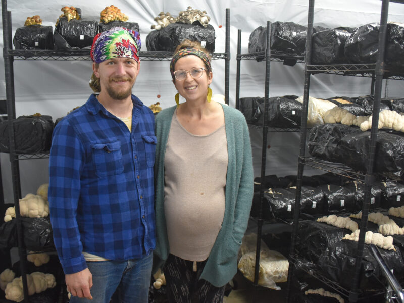 Couple stands in front of racks filled with growing mushrooms.