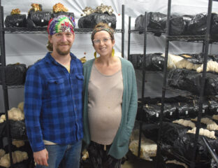 Couple stands in front of racks filled with growing mushrooms.