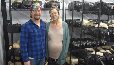 Couple stands in front of racks filled with growing mushrooms.