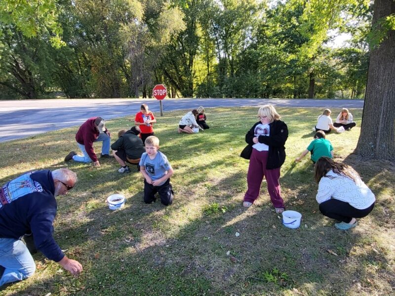 kids collecting acorns in a park