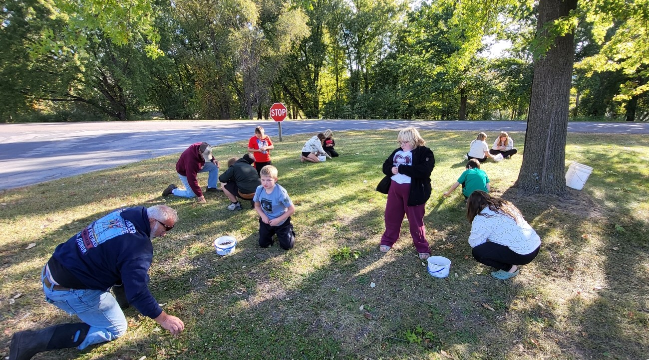 kids collecting acorns in a park