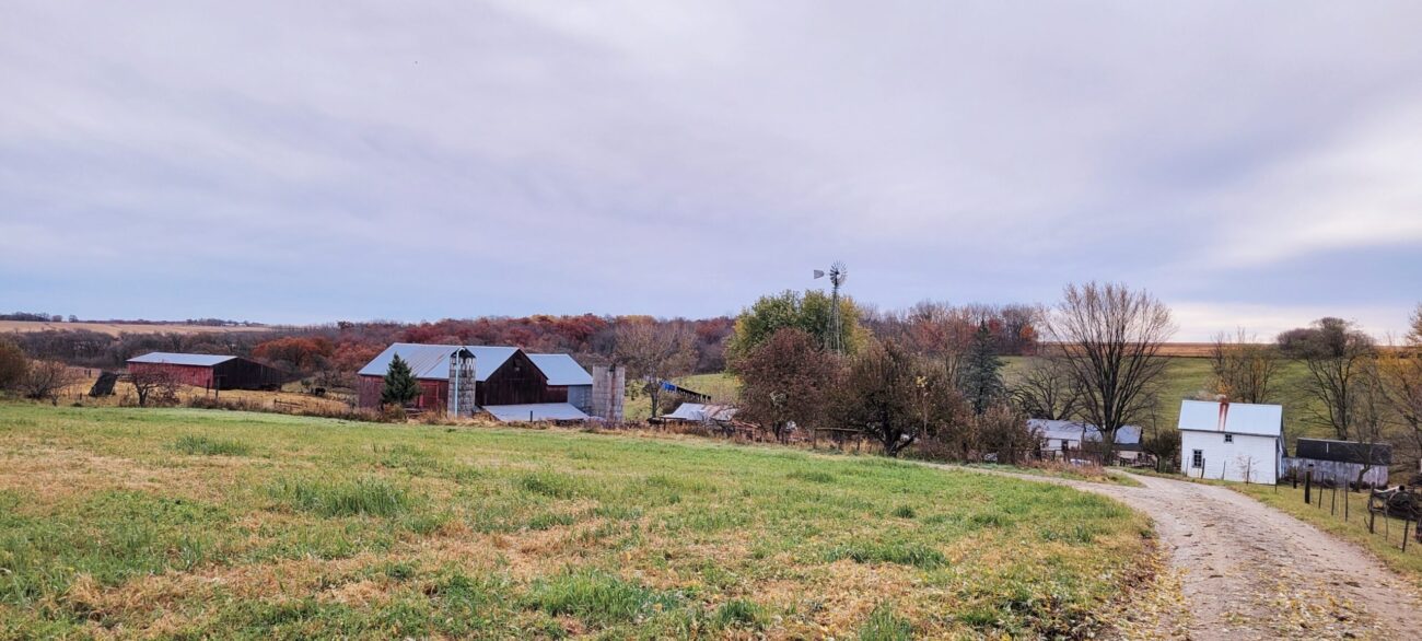 A farm sits among trees changing colors with a long gravel driveway leading into the yard.