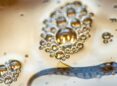 A tiny trout floats in water surrounded by groups of tiny bubbles.