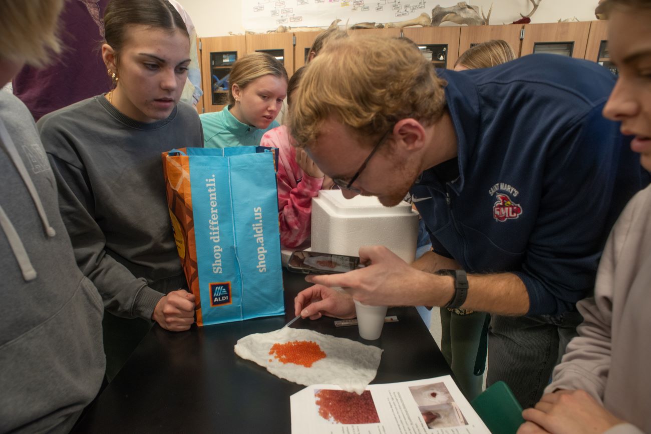 A man with blond hair and glasses holding a tweezers leans over a pile of bright orange trout eggs while a group of high school students watch.