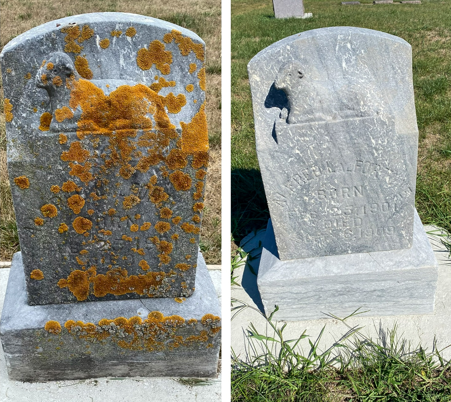 On the left a tombstone covered in brownish-orange moss. On the right the same tombstone cleaned showing the details of a raised relief of a lamb.