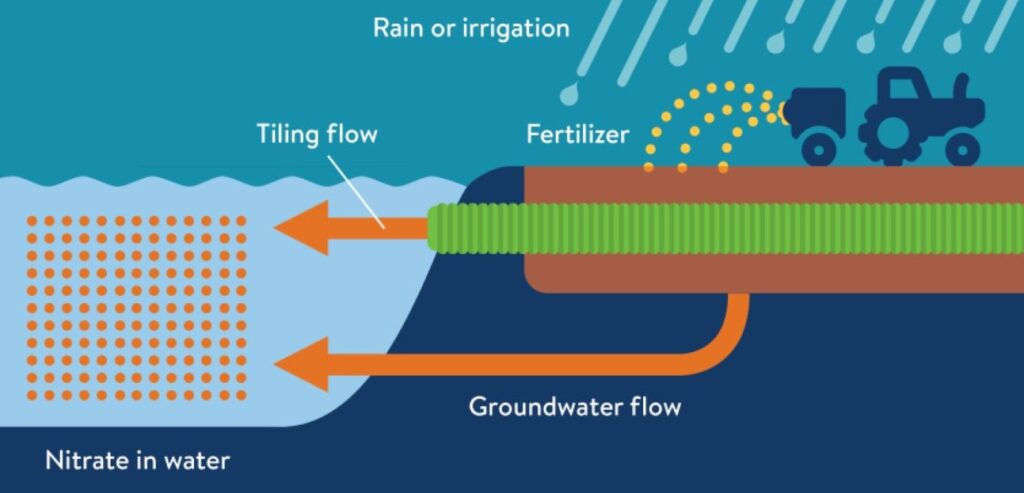 graphic of nitrate infiltration