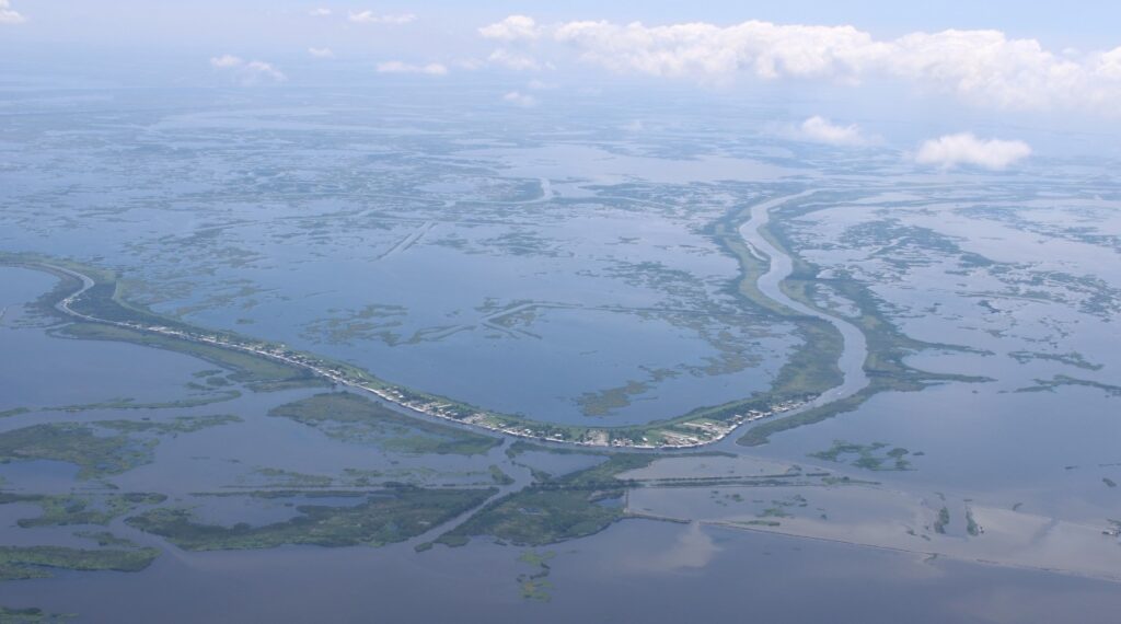 lower mississippi river marshes photo