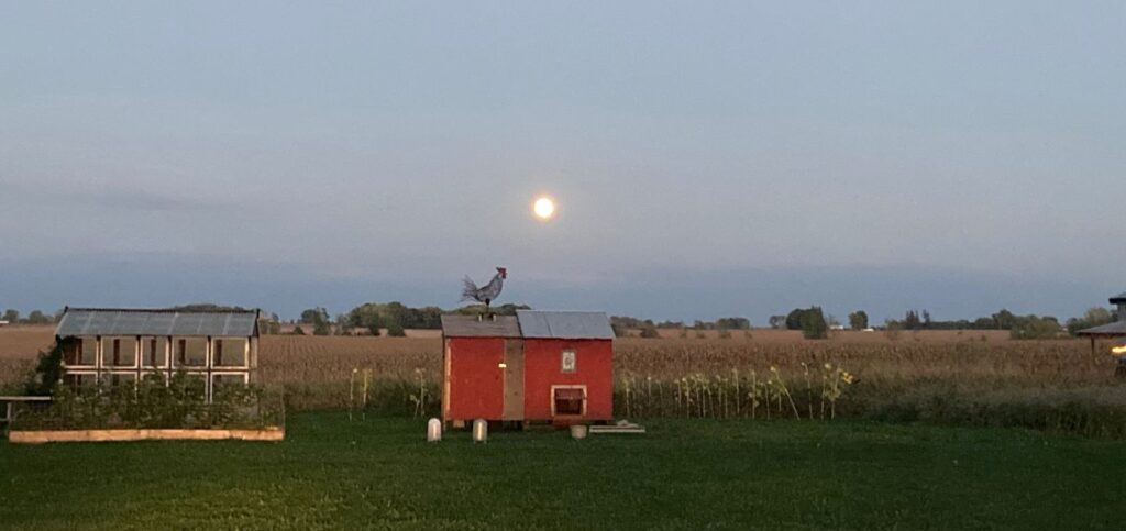 A red chicken coop with a large metal chicken sculpture on the roof. The full moon is in the sky.