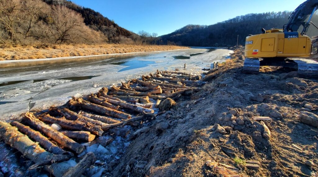 tree trunks along river