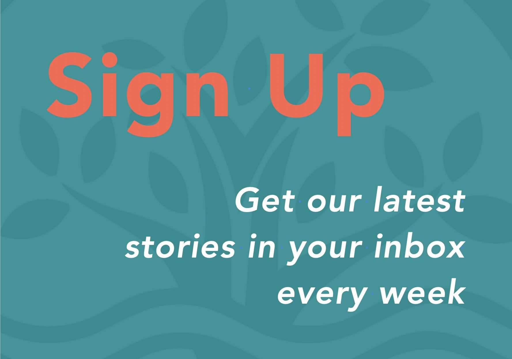 newsletter sign-up
