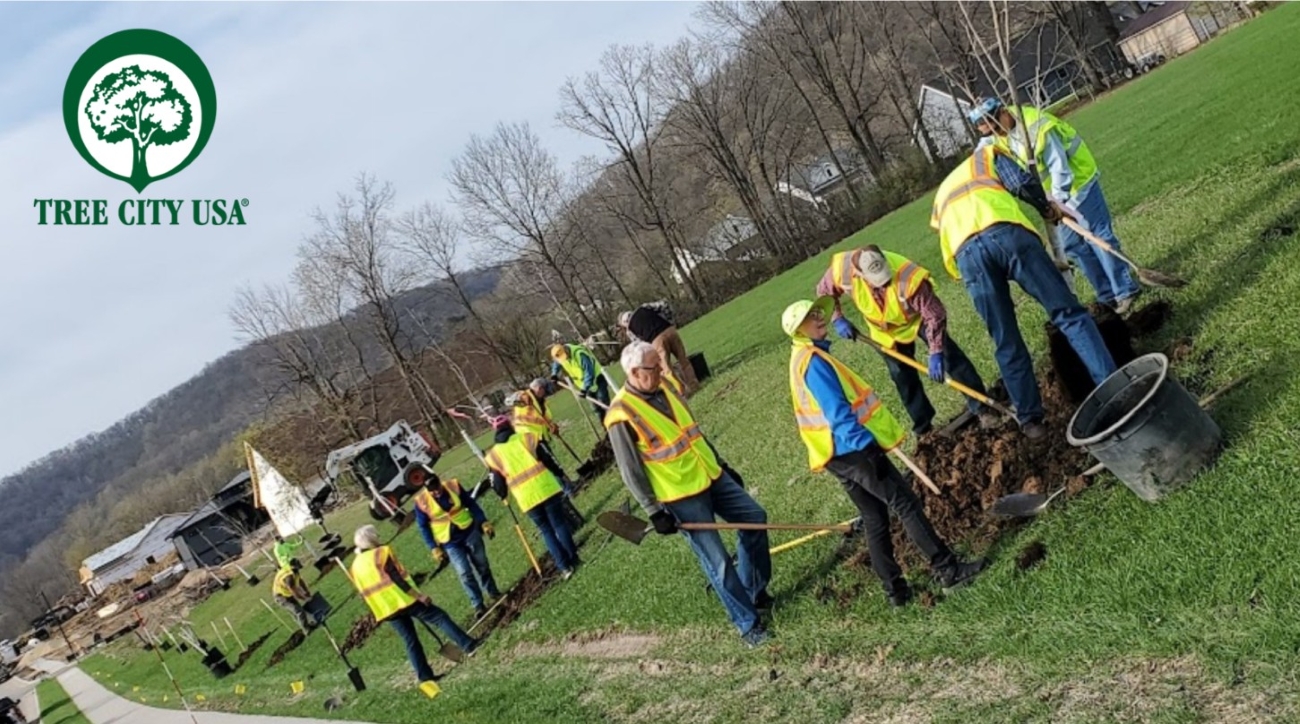 volunteers planting trees