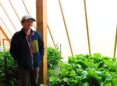 A woman in a ball cap and light jacket stands inside a greenhouse surrounded by green, leafy plants.