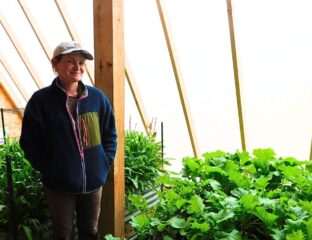 A woman in a ball cap and light jacket stands inside a greenhouse surrounded by green, leafy plants.