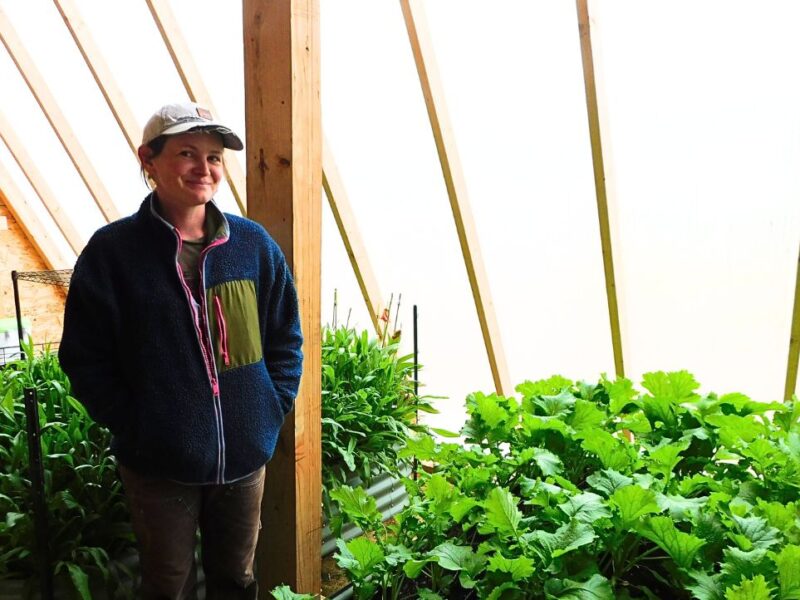A woman in a ball cap and light jacket stands inside a greenhouse surrounded by green, leafy plants.