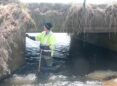 A man in a bright yellow vest stands in a creek under a cement bridge covered in dried brush.
