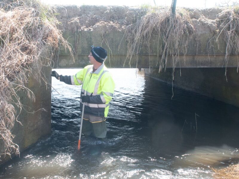 A man in a bright yellow vest stands in a creek under a cement bridge covered in dried brush.