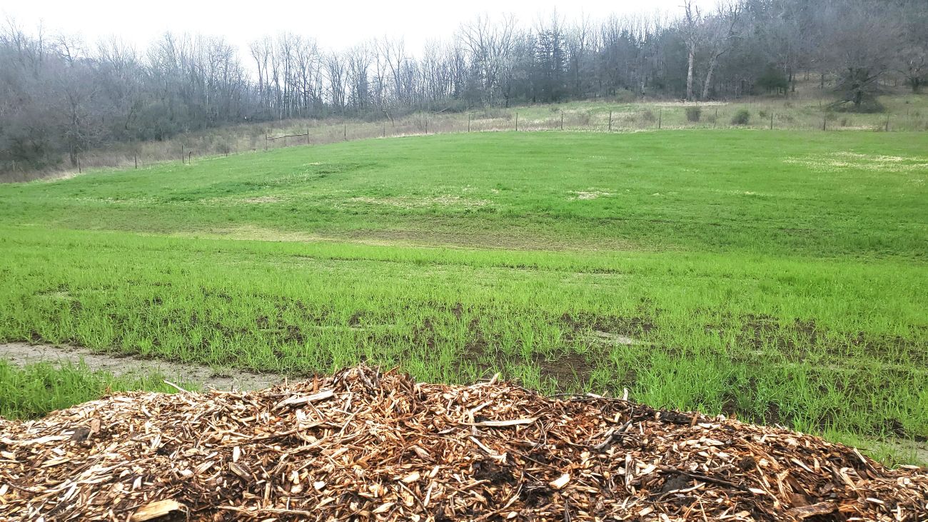 A sloped grassy field in the foreground is a large pile of mulch.