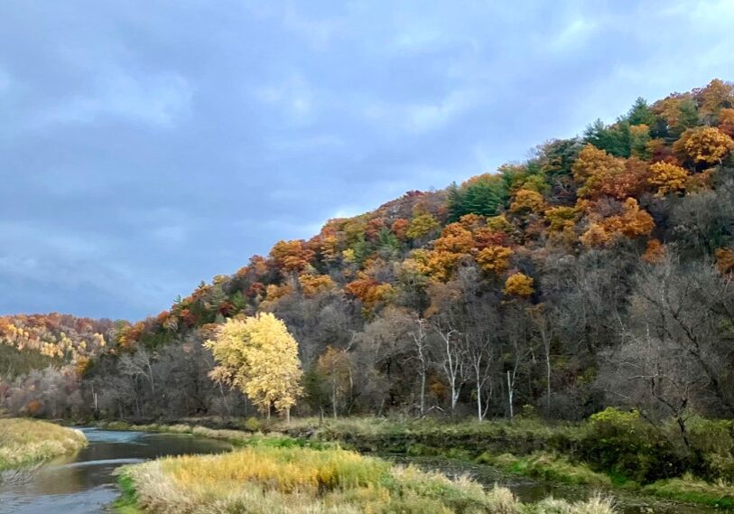 1 AUTUMNjpg The Root River on an autumn day inspires one to reflect on the beauty of nature. (Photo by Ella Deutchman)