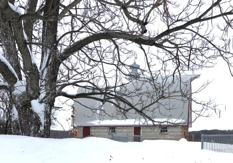 Big Woods Winter Photo by Greg Schieber February 2025 A barn in the distance covered in snow. In the foreground is a large tree with snow covered branches.