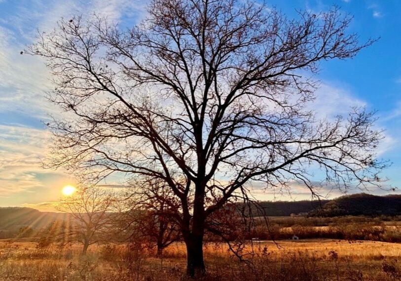 sunsetting photo