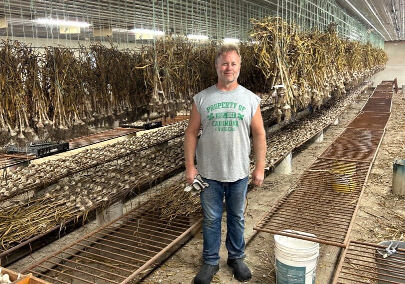 F PHOTO 1 H Paul Schmidt Paul Schmidt in the shed on his farm where 64,000 garlic are drying. Schmidt Farm markets seed stock to a variety of garden and seed companies.