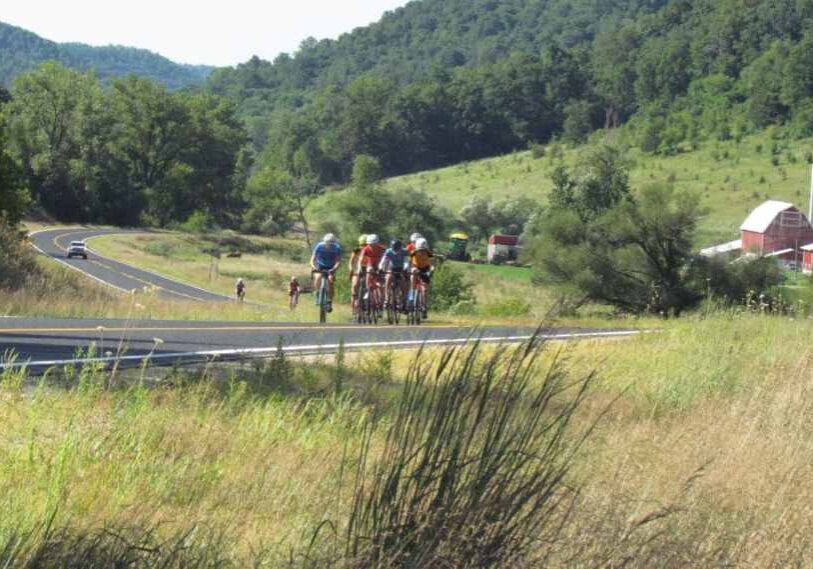 A nature view with grass in the foreground, a winding road with a pack of bikers going uphill in the middle of the image and a green bluff in the background.