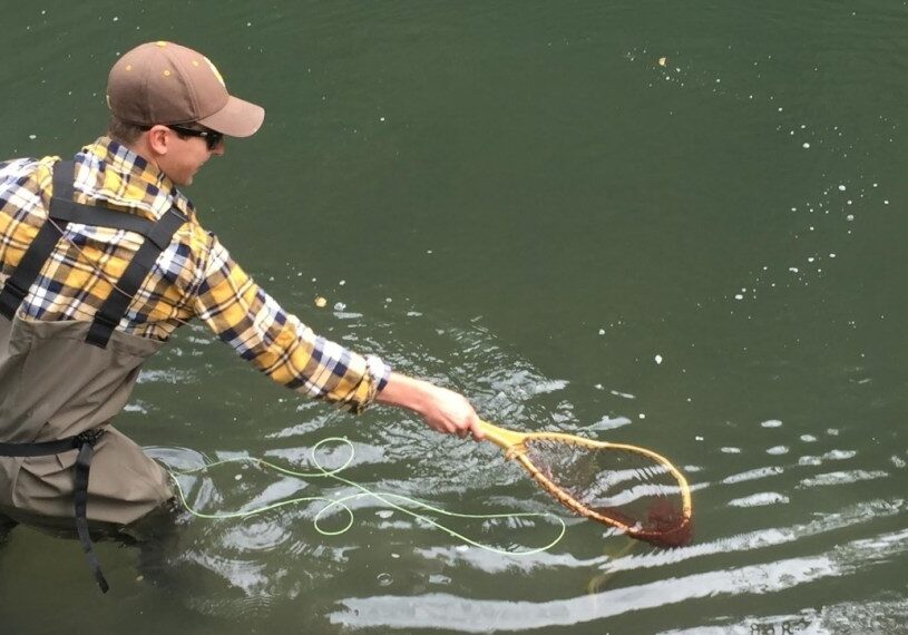 A man stands in a stream up to his thighs and reaches out with a wood handled net to scoop up a trout.