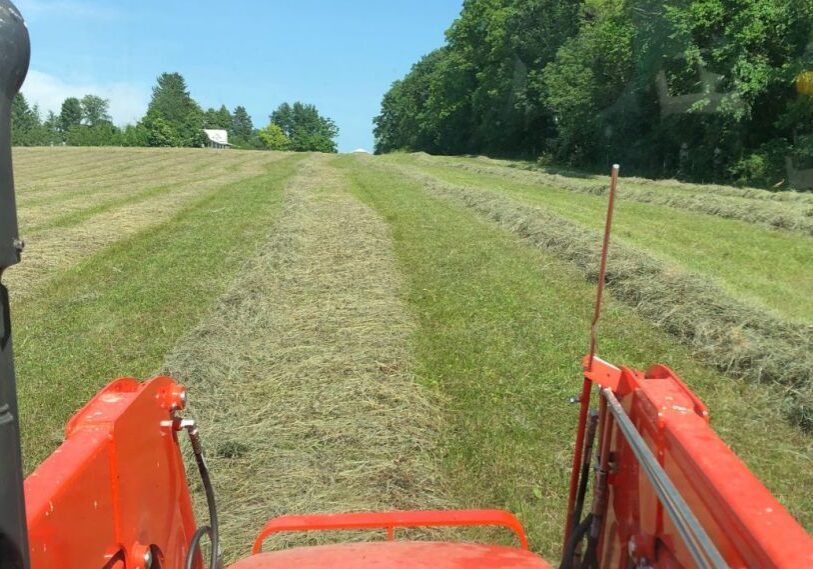 PHOTO 1 CUT HAY <span style="font-size: 14px; color: #6c6b6b; ">Freshly cut hay on a perfect summer day. (Photo by Greg Schieber)</span>