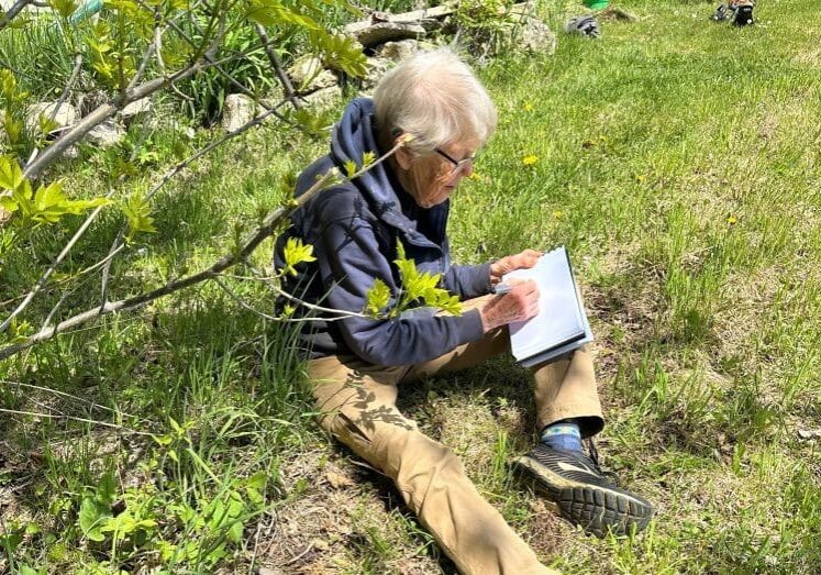 An older woman sits outdoors on a grassy hillside beneath budding tree branches while sketching in a spiral bound notebook. She wears glasses, a navy hooded sweatshirt, tan pants, and patterned slip on shoes. Bright spring sunlight illuminates the green grass, scattered wild plants, and rocky landscaping around her as she concentrates on drawing in a peaceful natural setting.