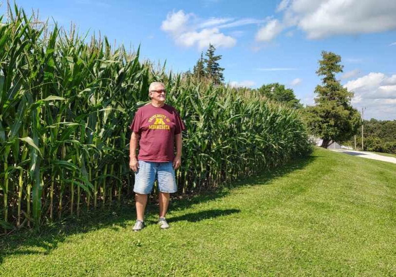 An older man with gray hair, wearing a maroon tshirt with University of Minnesota in gold letters, stands on grass next to a field of corn that reaches well over his head. The sky behind the field is bright blue with white fluffy clouds.