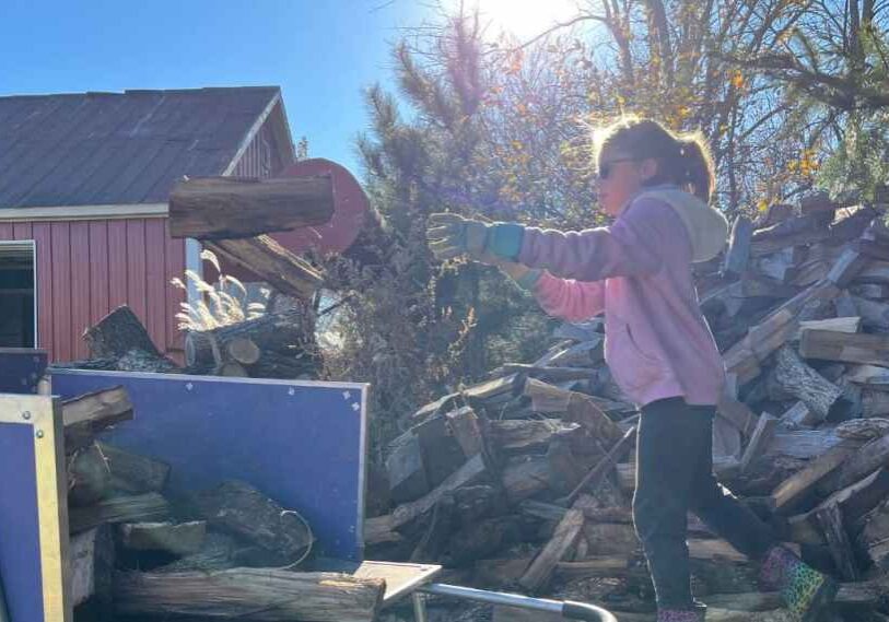 A young girl wearing sunglasses, a pink hoodie, gloves, and colorful boots tosses a piece of firewood into a blue wood cart outdoors. She stands on a large pile of split logs next to evergreen trees, with bright sun shining behind her and a red barn in the background.