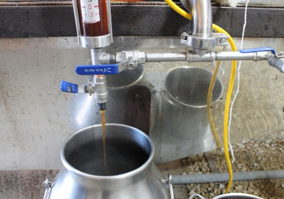 Maple syrup pours out of a metal valve with a blue handle into a large stainless steel urn with handles.
