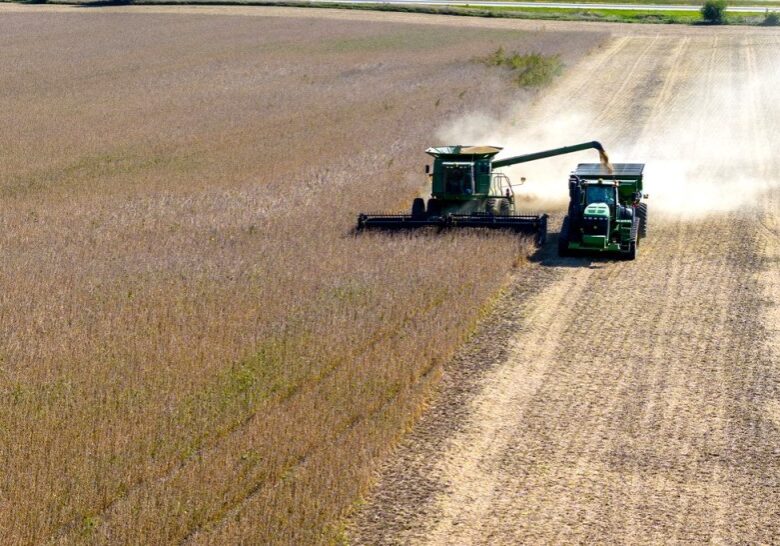 <span style="font-size: 14px; color: #6c6b6b; ">Soybeans being harvested in Illinois in September 2023. Six states in the Midwest witnessed the loss of more than 30,000 farms since 2017. (Photo by Darrell Hoemann, Investigate Midwest)</span>