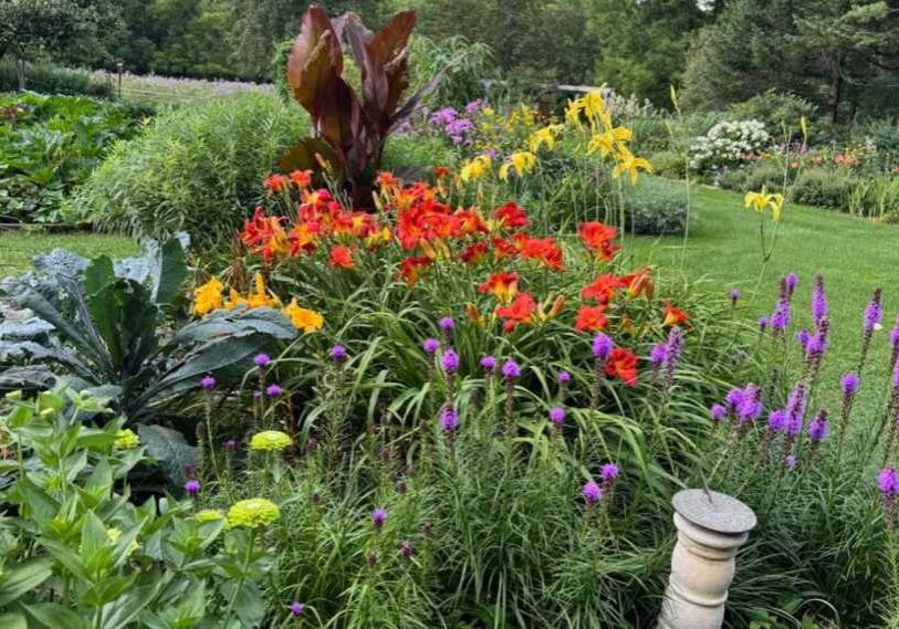 The garden in full bloom, ready for pollinators. (Photo by Loni Kemp)