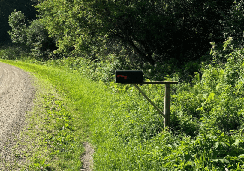 PHOTO 1 Mailbox by Bonnie Gibson PHOTO 1 Mailbox by Bonnie Gibson